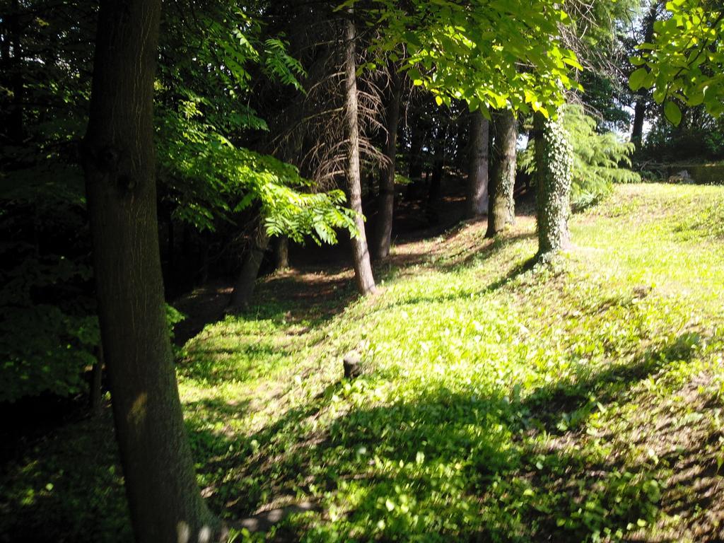 Diano dʼAlba Casa Badinot旅馆 客房 照片