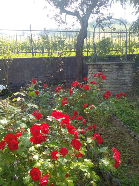 Diano dʼAlba Casa Badinot旅馆 客房 照片
