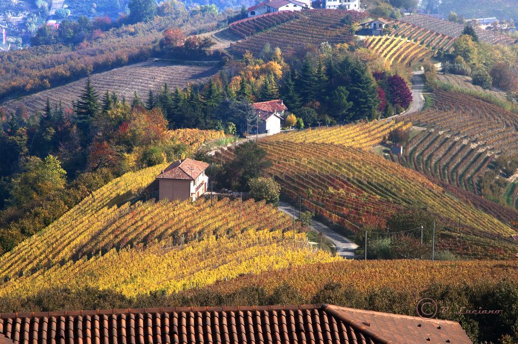 Diano dʼAlba Casa Badinot旅馆 外观 照片
